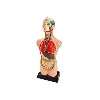Juego miniland anatomia humana 11 piezas 50 cm