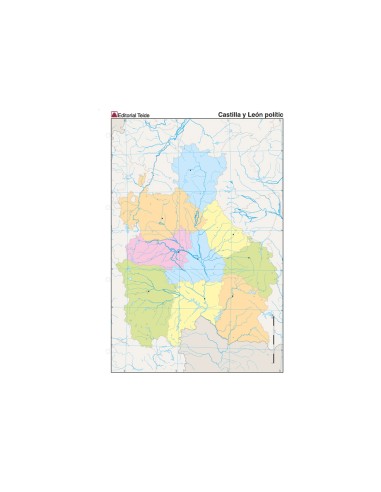 Mapa mudo color din a4 castilla leon politico