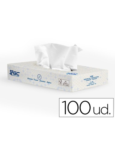 Panuelo tissu 2 capas 21x207 cm caja de 100 unidades