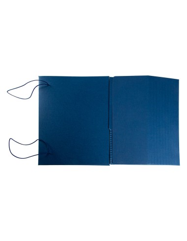 Carpeta proyectos liderpapel extensible gofrada folio