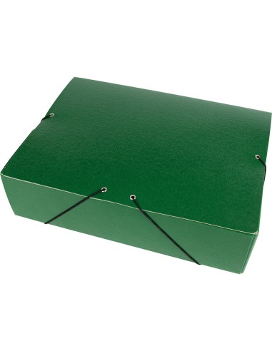 Carpeta proyectos liderpapel folio lomo 90mm carton gofrado verde