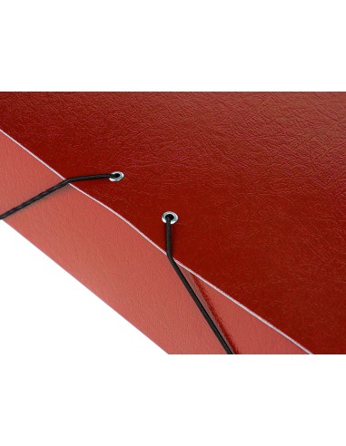 Carpeta proyectos liderpapel folio lomo 70mm carton gofrado roja