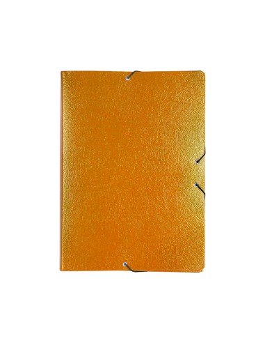 Carpeta proyectos liderpapel folio lomo 70mm carton gofrado verde