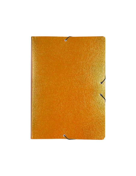 Carpeta proyectos liderpapel folio lomo 70mm carton gofrado verde