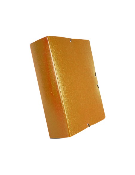 Carpeta proyectos liderpapel folio lomo 70mm carton gofrado verde