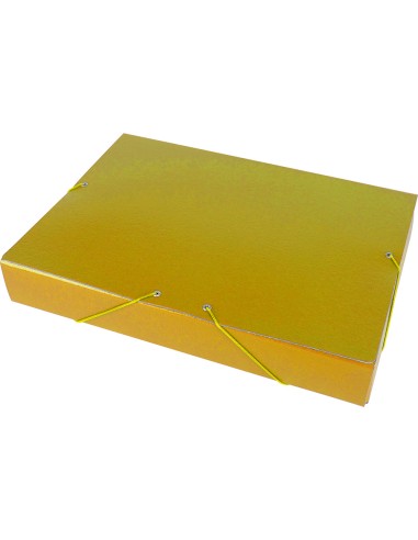 Carpeta proyectos liderpapel folio lomo 50mm carton gofrado amarilla