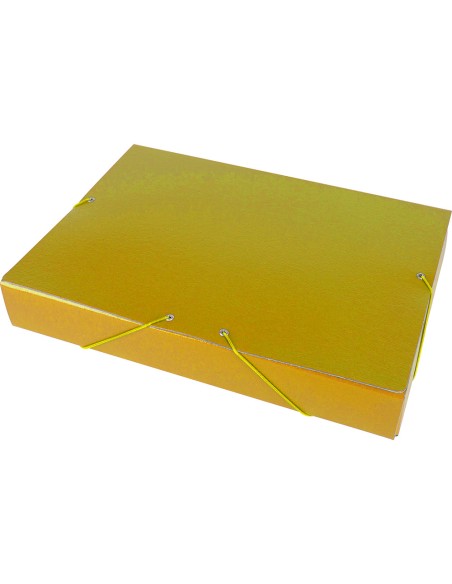 Carpeta proyectos liderpapel folio lomo 50mm carton gofrado amarilla