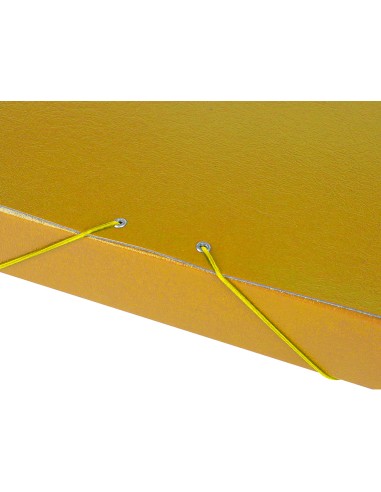 Carpeta proyectos liderpapel folio lomo 50mm carton gofrado amarilla