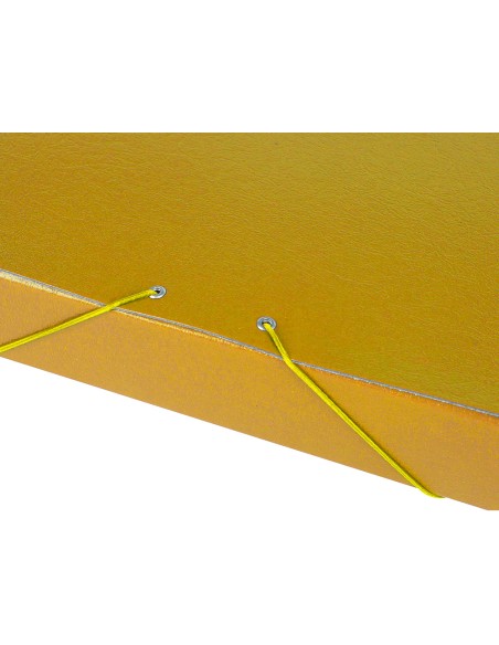Carpeta proyectos liderpapel folio lomo 50mm carton gofrado amarilla