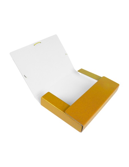 Carpeta proyectos liderpapel folio lomo 50mm carton gofrado amarilla