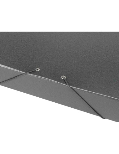 Carpeta proyectos liderpapel folio lomo 50mm carton gofrado gris