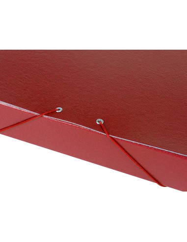Carpeta proyectos liderpapel folio lomo 50mm carton gofrado roja