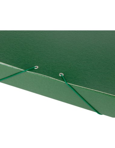 Carpeta proyectos liderpapel folio lomo 50mm carton gofrado verde