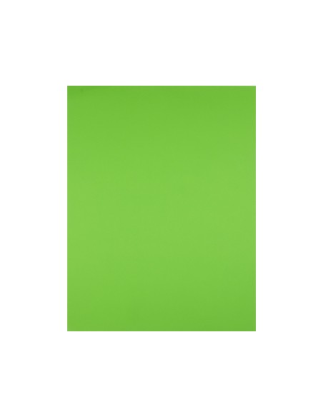 Cartulina liderpapel 50x65 cm 180g m2 verde pistacho paquete de 25 hojas