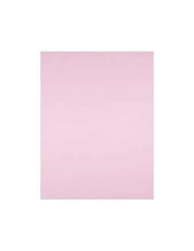 Cartulina liderpapel 50x65 cm 180g m2 rosa paquete de 25 hojas