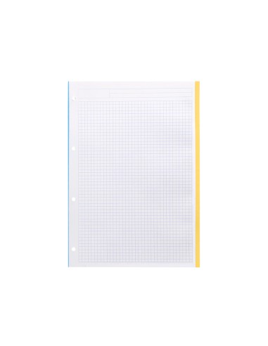 Recambio a4 100 hojas 90g m2 cuadro 5 mm 4 taladros bandas de 5 colores antartik