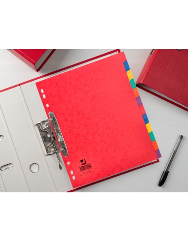 Separador q connect cartulina brillo juego de 12 separadores din a4