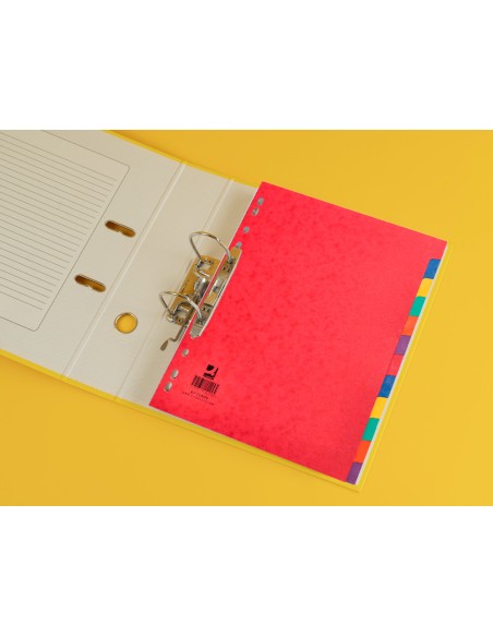 Separador q connect cartulina brillo juego de 12 separadores din a4
