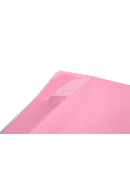 Forralibro liderpapel nº29 con solapa ajustable adhesivo 293 x 530 mm Forralibro liderpapel nº29 con solapa ajustable adhesivo 293 x 530 mm