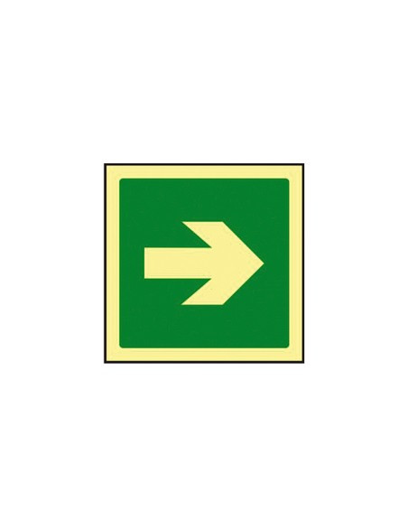 Pictograma syssa senal de via de evacuacion en pvc fotoluminiscente 224x224 mm