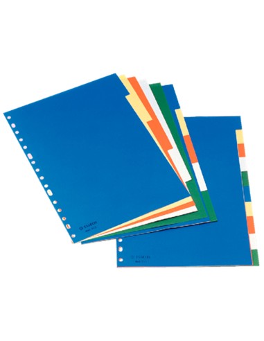 Separador esselte plastico juego de 10 separadores din a4 con 5 colores multitaladro