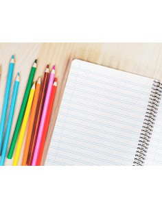 Cuaderno espiral liderpapel cuarto pautaguia tapa dura 80h75 gr cuadro pautado 3 mm con margen