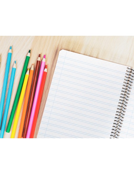 Cuaderno espiral liderpapel cuarto pautaguia tapa dura 80h75 gr cuadro pautado 3 mm con margen