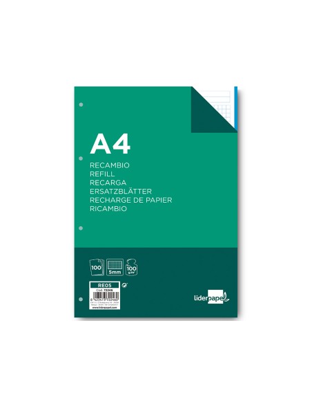 Recambio liderpapel a4 100 hojas 100g m2 cuadro 5mm 4 taladros bandas de 5 colores