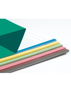 Recambio liderpapel a4 100 hojas 100g m2 cuadro 5mm 4 taladros bandas de 5 colores