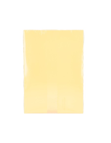 Papel color q connect din a4 80gr champagne paquete de 500 hojas