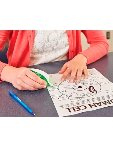 Corrector paper mate cinta dryline grip 5 mm x 85 mt