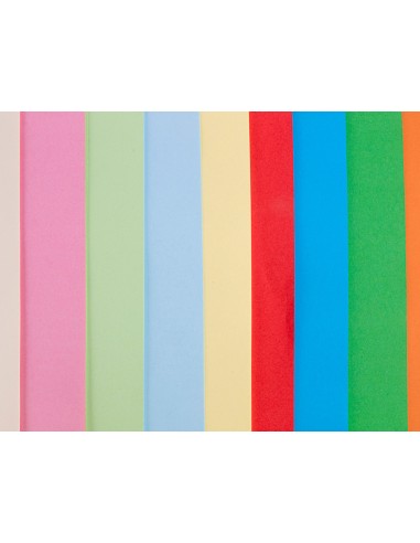 Papel color liderpapel a3 80gr 10 colores surtidos paquete 100 hojas