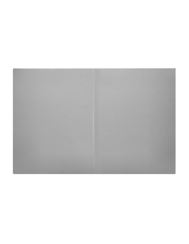 Subcarpeta liderpapel a4 gris 180g m2