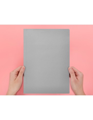 Subcarpeta liderpapel a4 gris 180g m2