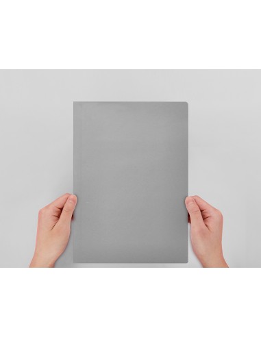 Subcarpeta liderpapel folio gris 180g m2