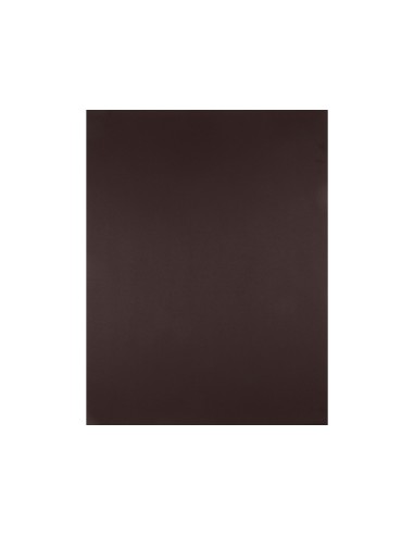 Cartulina liderpapel 50x65 cm 180 gr marron paquete de 25 hojas