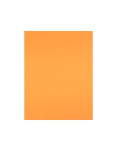 Cartulina liderpapel 50x65 cm 180 gr nectarina paquete de 25 hojas