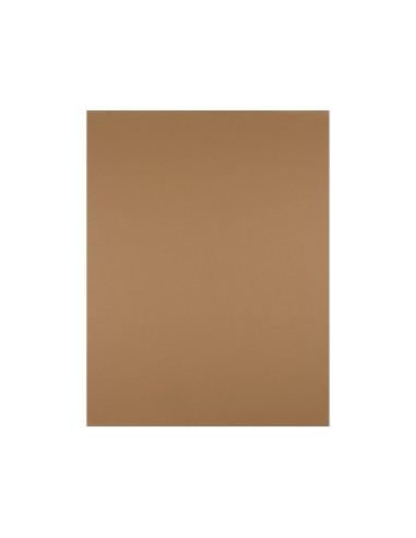 Cartulina liderpapel 50x65 cm 180 gr marron escolar unidad