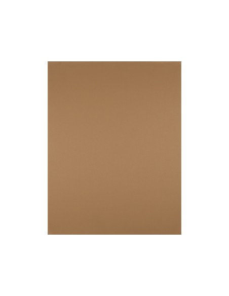 Cartulina liderpapel 50x65 cm 180 gr marron escolar unidad