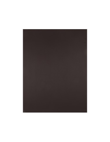Cartulina liderpapel 50x65 cm 180 gr marron unidad