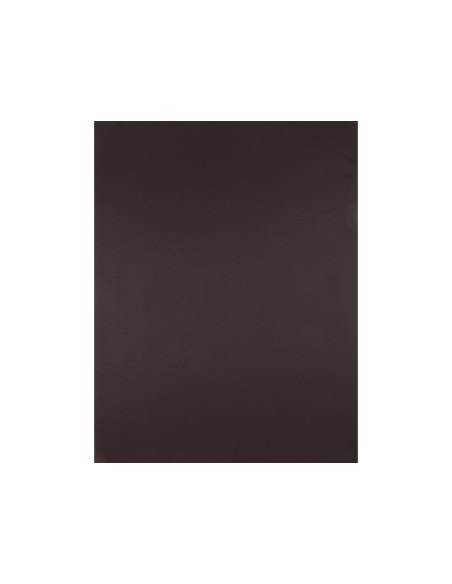 Cartulina liderpapel 50x65 cm 180 gr marron unidad