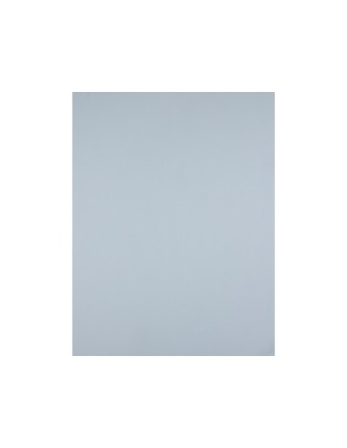 Cartulina liderpapel 50x65 cm 180 gr gris unidad