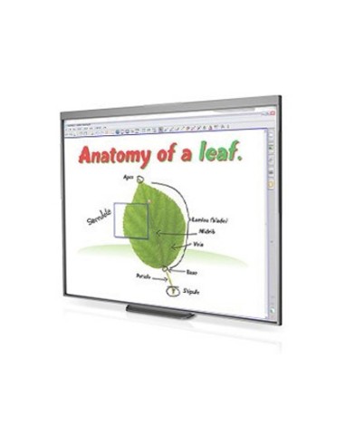 Pizarra interactiva sb480 77 con proyector soporte y altavoces