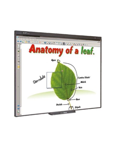 Pizarra interactiva sb480 77 con proyector y soporte