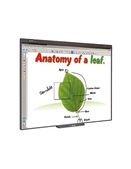 Pizarra interactiva sb480 77 con proyector y soporte