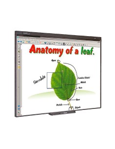 Pizarra interactiva sb480 77 con proyector y soporte