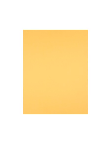 Cartulina liderpapel 50x65 cm 240g m2 oro paquete de 25 hojas