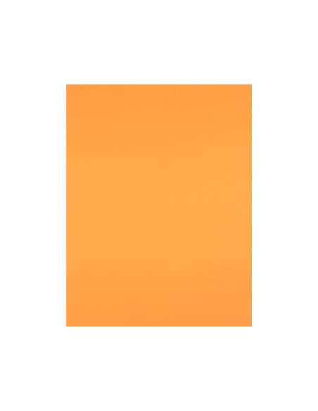 Cartulina liderpapel 50x65 cm 240g m2 nectarina paquete de 25 hojas