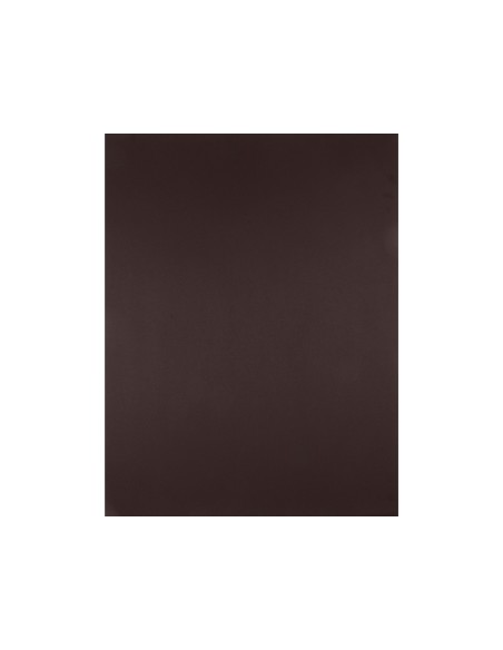 Cartulina liderpapel 50x65 cm 240g m2 marron paquete de 25 hojas