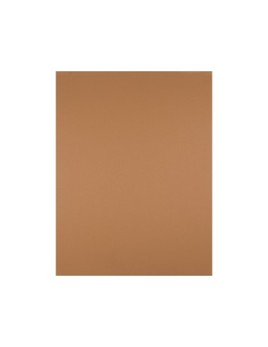 Cartulina liderpapel 50x65 cm 240g m2 marron escolar paquete de 25 hojas